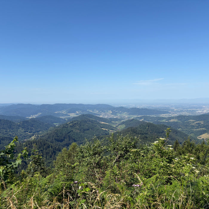 E-Bike Tour Gengenbach: Lothardenkmal, Mooskopfturm und Kornebene im nördlichen Schwarzwald