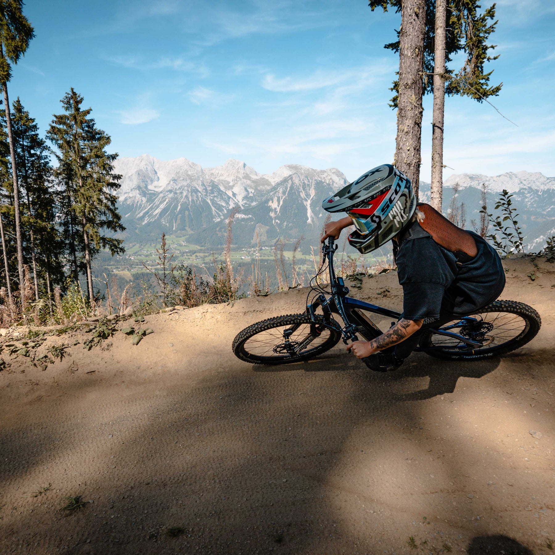 Trail, Enduro, Downhill 