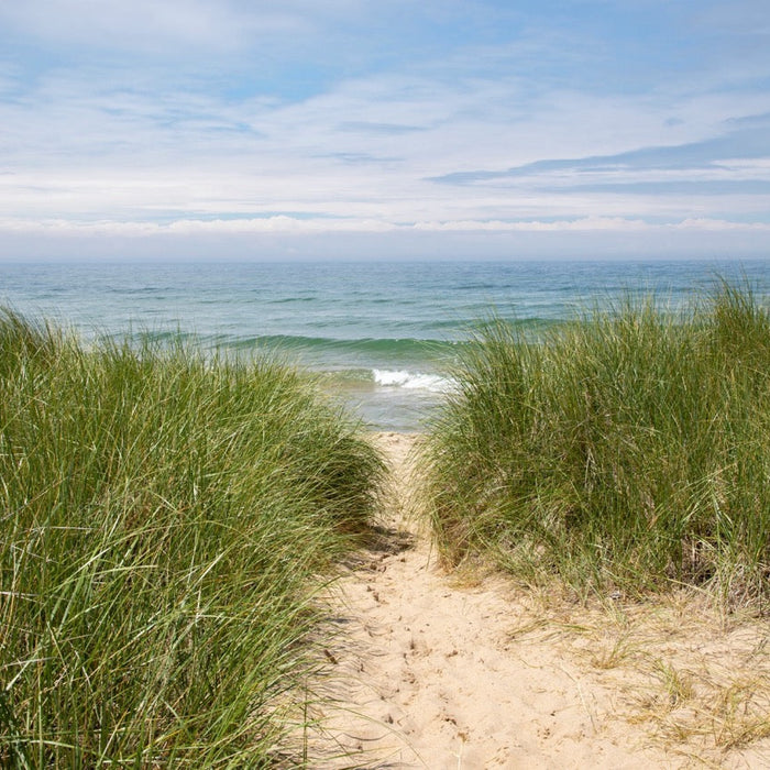 Holland Strand