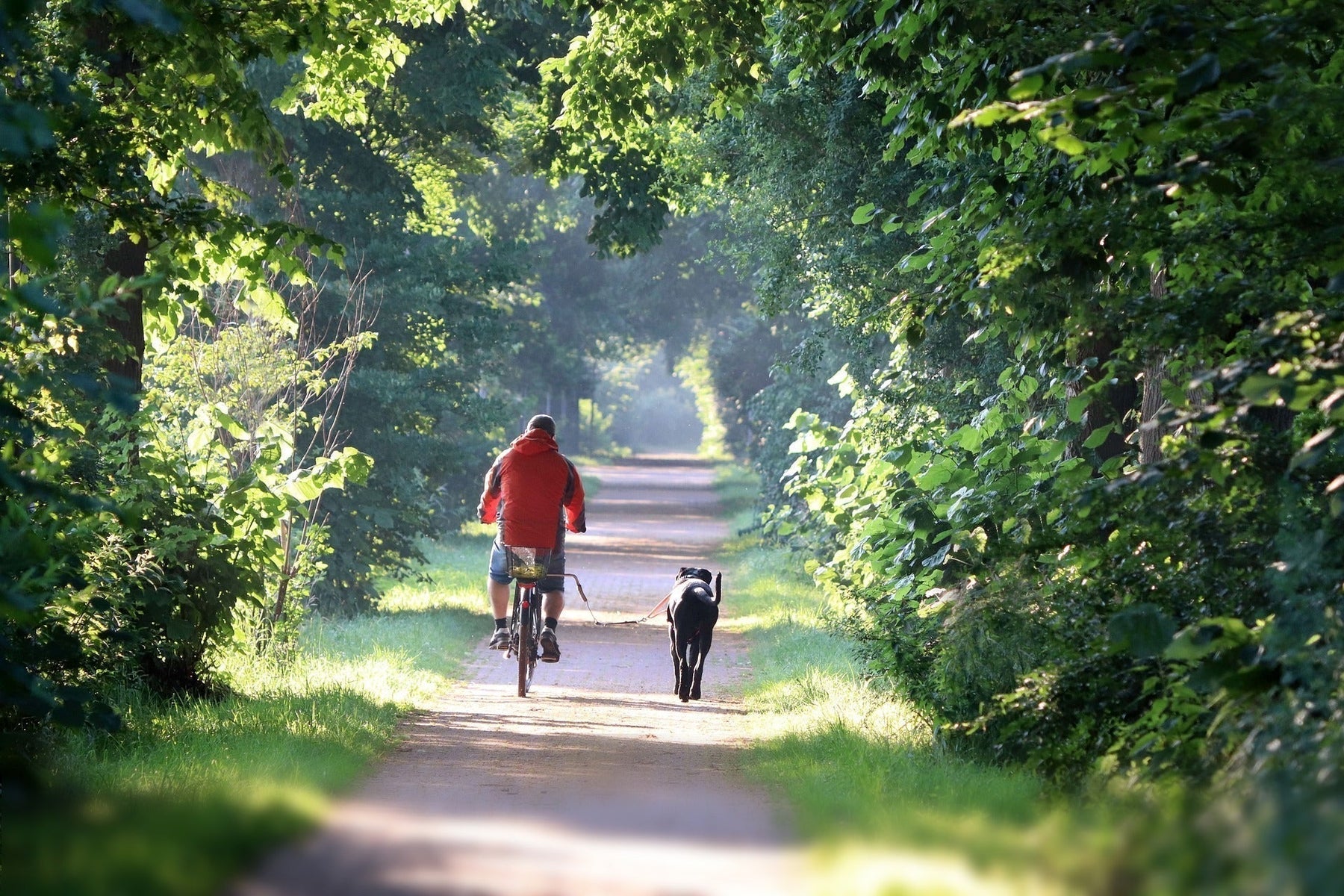 Rekuperation bei E-Bikes