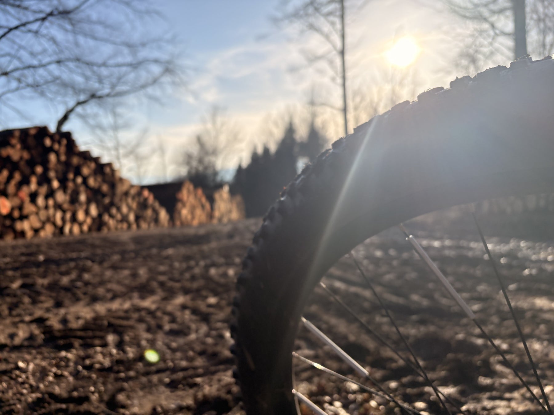 Enduro E-MTB: Was es kann und für wen es sich lohnt