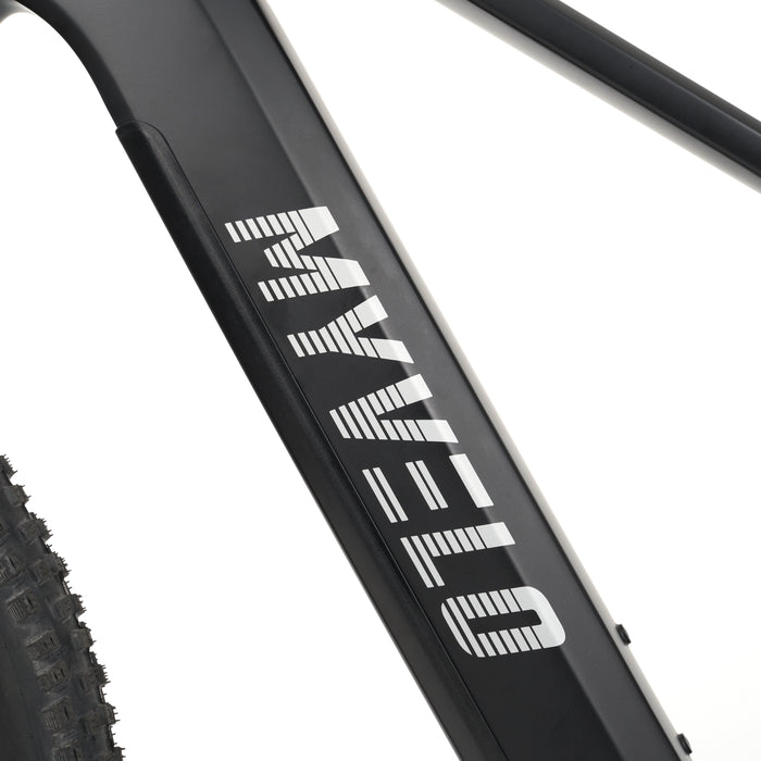 Himalaya E-MTB - myvelo.de