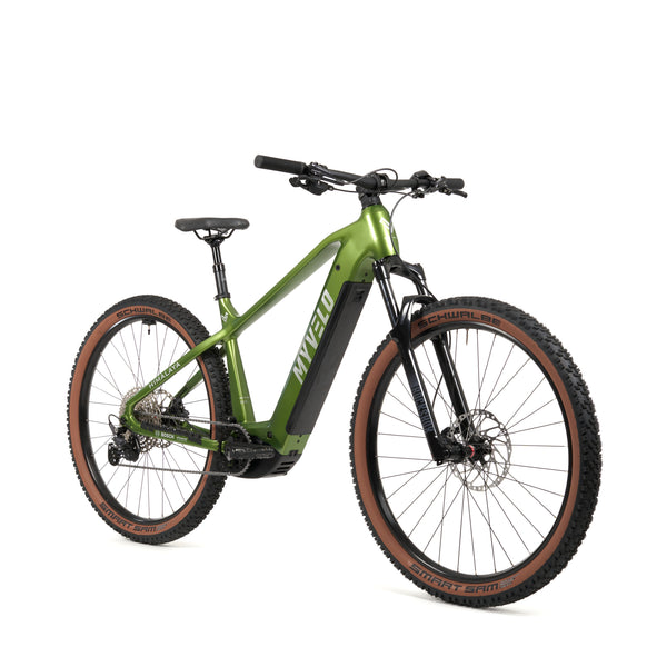 Himalayan E-MTB