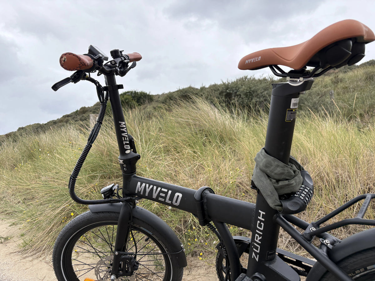 Schwalbe Big Apple