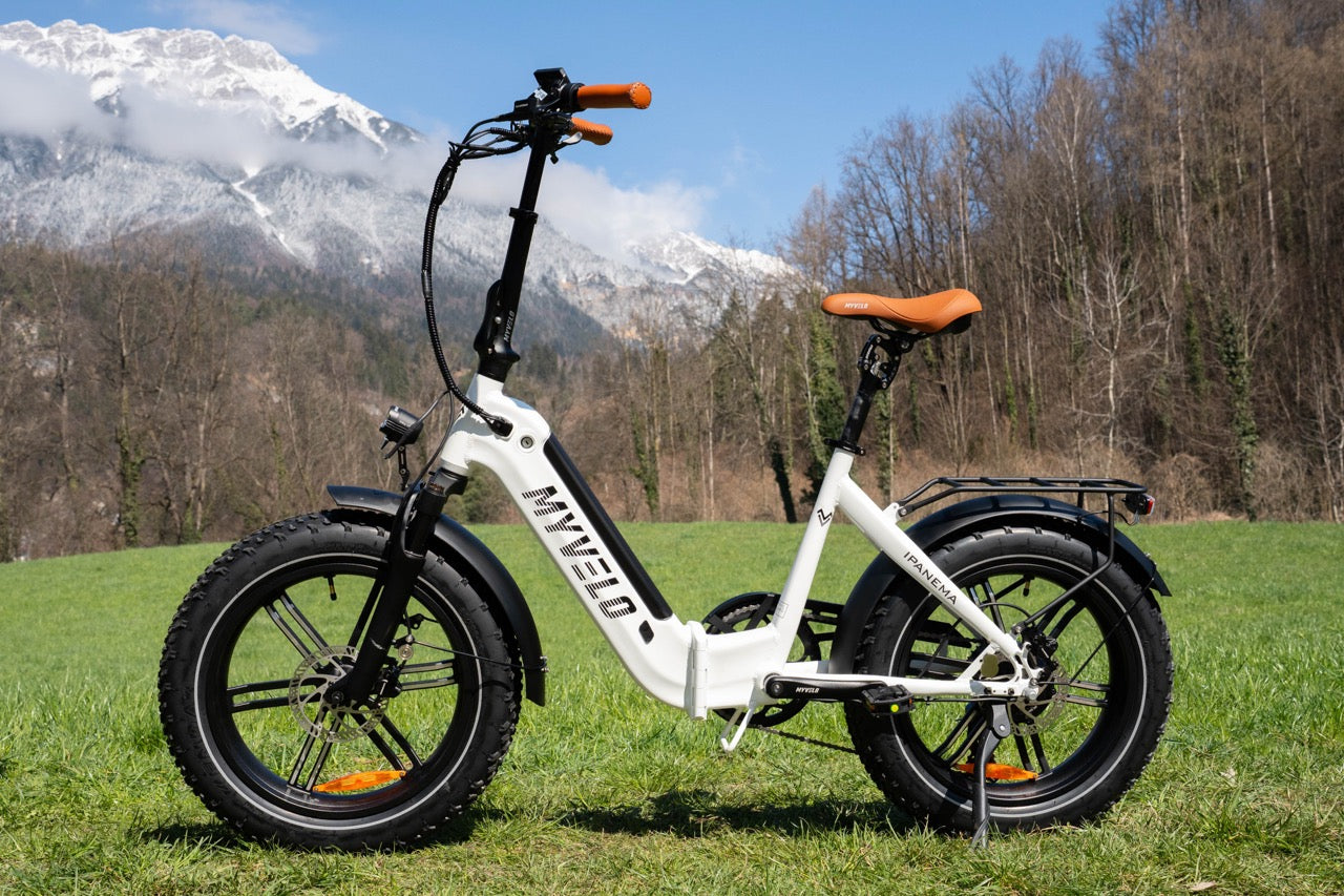 Voor wie zijn elektrische vouwfietsen met name voordelig?
